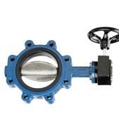 Butterfly Valve