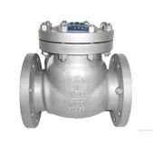 Check Valve